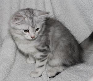 IMG_4113 IMG_4113