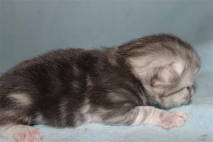 IMG_3213 IMG_3213