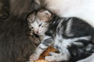 IMG_0452 IMG_0452