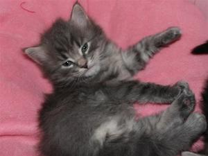 IMG_0997 IMG_0997