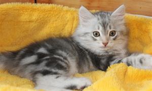 IMG_4048 IMG_4048