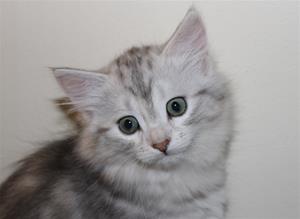 IMG_3920 IMG_3920