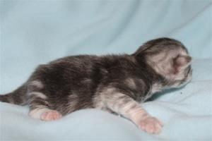 IMG_3095 IMG_3095