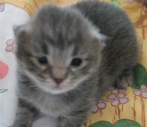 IMG_0451 IMG_0451