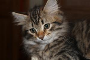 IMG_1494 IMG_1494