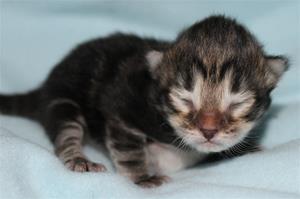 IMG_3105 IMG_3105