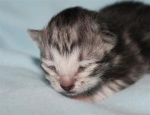 IMG_3120 IMG_3120