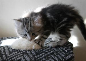IMG_1117 IMG_1117