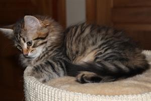 IMG_1492 IMG_1492