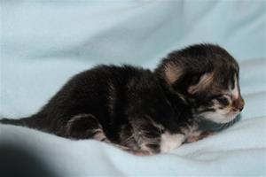 IMG_3109 IMG_3109