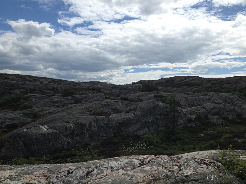 Skärhamn V