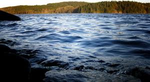 Valbo Ryr sjön