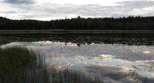 Skogsjö i Bohuslän