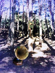 Nostalgi i skogen