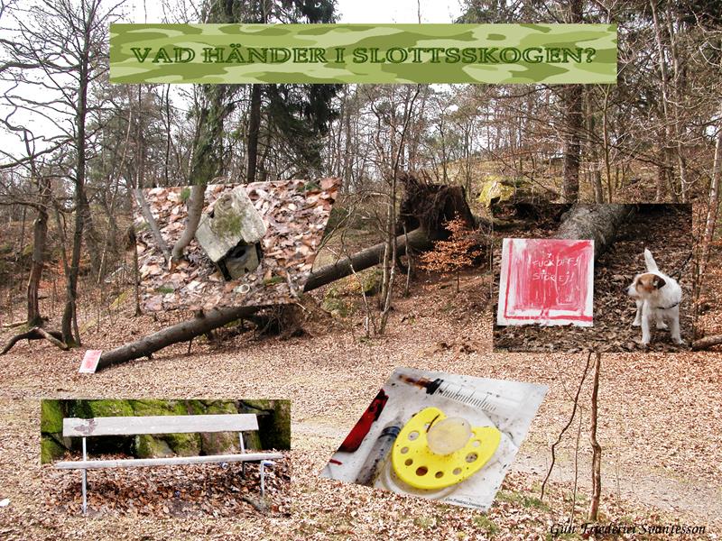 Vad händer i Slotts skogen Vad händer i Slotts skogen