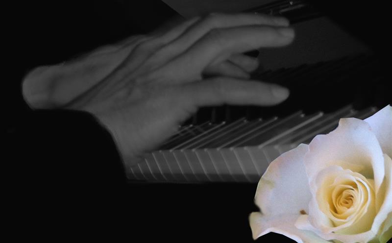 En pianists händer 