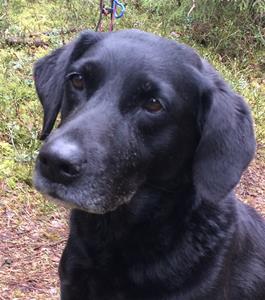 Max snart 13 år. Max snart 13 år.