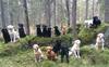 Skogspromenad med 18 hundar den 28 december 2015