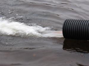      fiskutsättning lilldigerl. 2014-1020 139