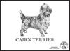 Rasegruppe Cairn Terrier