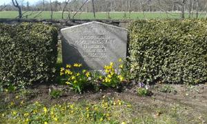 Min mormor och morfar Hermanna och Oskars Cederlunds grav, efter planteringen av Penséer 2015 04 20.