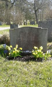 Min far Erik Jakobssons grav, före plantering av Penséer 2015 04 20.