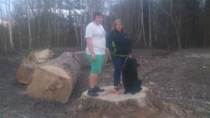 Maria, Emil och Loke på stubben av ett nersågat träd på Almungsvägen, 2015 04 23. DSC_0001