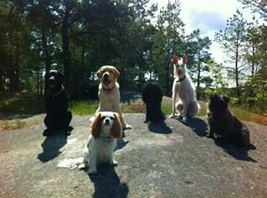 En härlig sommardag