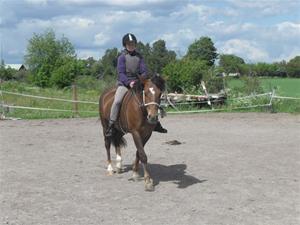 Horsemanship kurs Horsemanship kurs