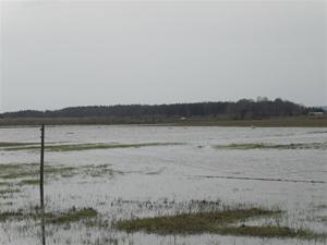 Svälinge Svälinge