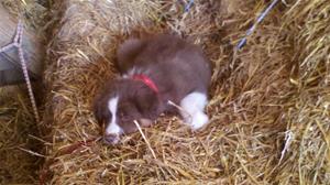 2012-02-25_09-16-37_99 2012-02-25_09-16-37_99
