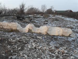 2012-02-17 004 2012-02-17 004