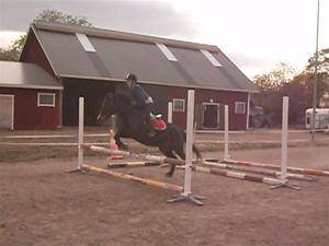 Hoppträning Hoppträning