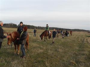 Hubertusjakt 2010 Hubertusjakt 2010