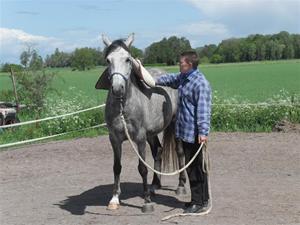 Horsemanship kurs Horsemanship kurs