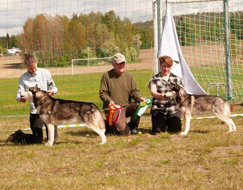 SPHK Piteå 2022a SPHK Piteå 2022a