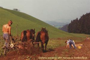 Stefano working with horses