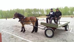 Pöjo i vändning på sidoväg