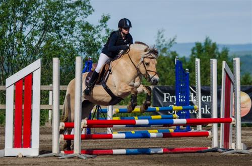 Cheenis o Filippa hopp