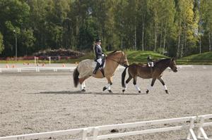 Vilmer o Castor i tandem Vilmer o Castor i tandem