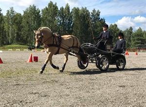 Elenor och Lilja