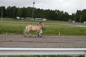IMG_1171