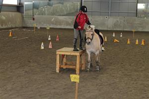 Lina och Finten