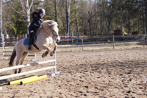 DSC01153 DSC01153