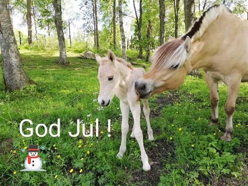 God Jul God Jul