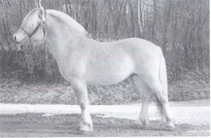 Lysluggen 194 Lysluggen 194