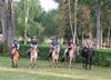 20140730_193207 ny