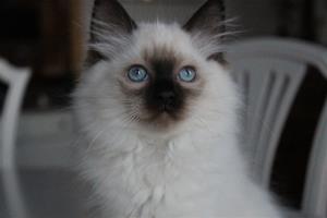 IMG_3085 IMG_3085