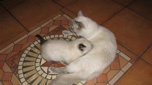 IMG_4824 IMG_4824