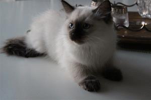 IMG_3028 IMG_3028